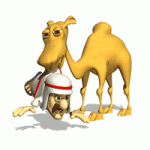 arab in mouth of camel