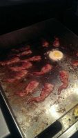bacon-sperm