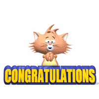 congratulations cat