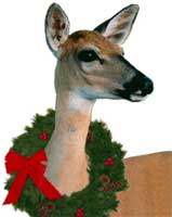deer-abby-wreath