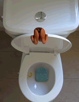 diving into toilet 359h