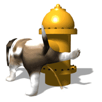 dog-pee-on-hydrant
