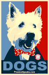 dog-vote