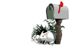 email bunny