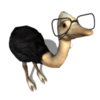 eyeglasses-ostrich