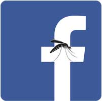 facebook-mosquito