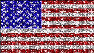 flag american glitter 224h