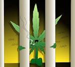 free the weed jail bars