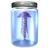jellyfish jar