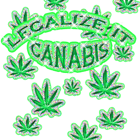legalize canabis pot 288h