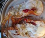 lobster-plate