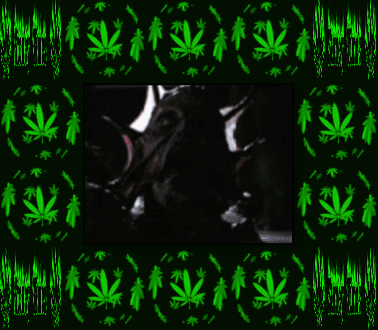 marijuana bad trip monster