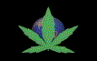 marijuana leaf covers world