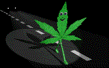 marijuana walks on highway