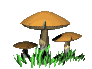 mushrooms-up-down-brown