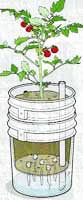 planter-self-watering