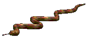 snake-slither-an