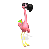 sunglasses flamingo drink