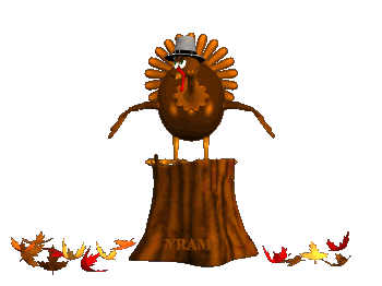 thanksgiving turkey axe hat