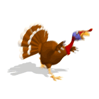 turkey running